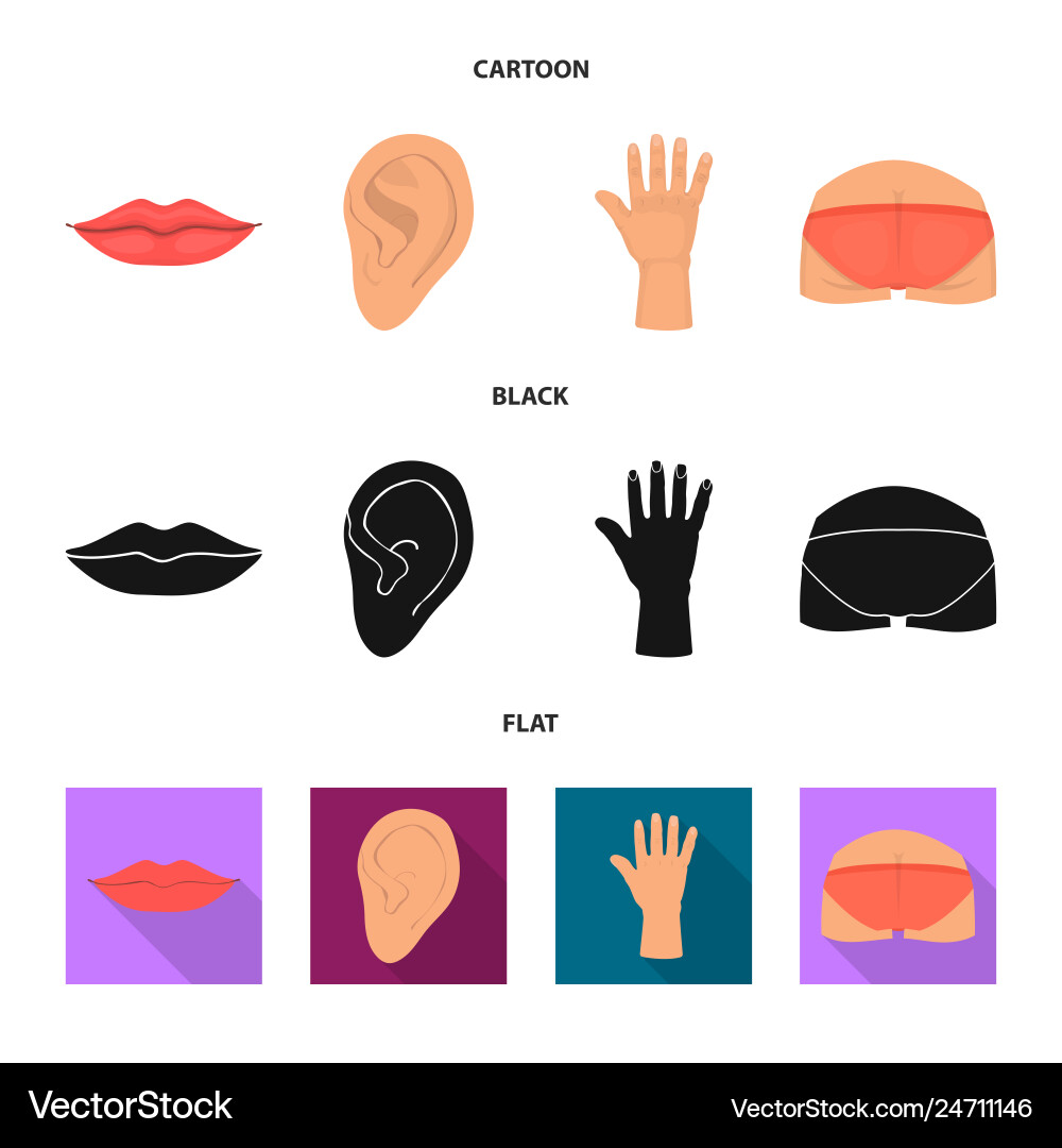 Isolated object of body and part symbol Isolated object of body and part symbol vector image