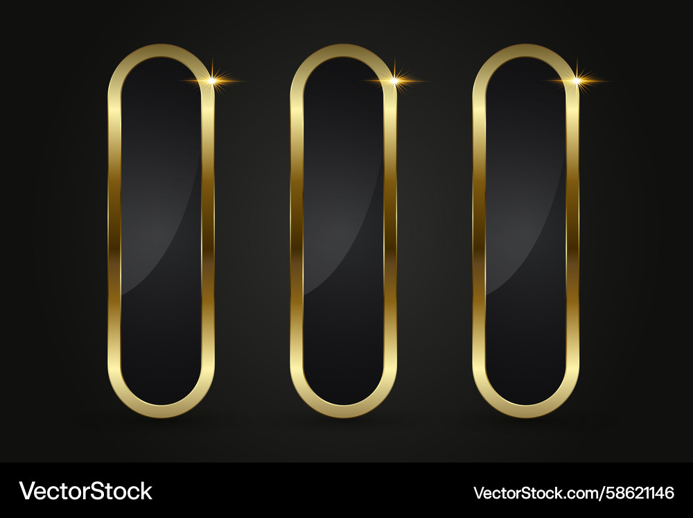 Three sleek rounded rectangular button Vector Image
