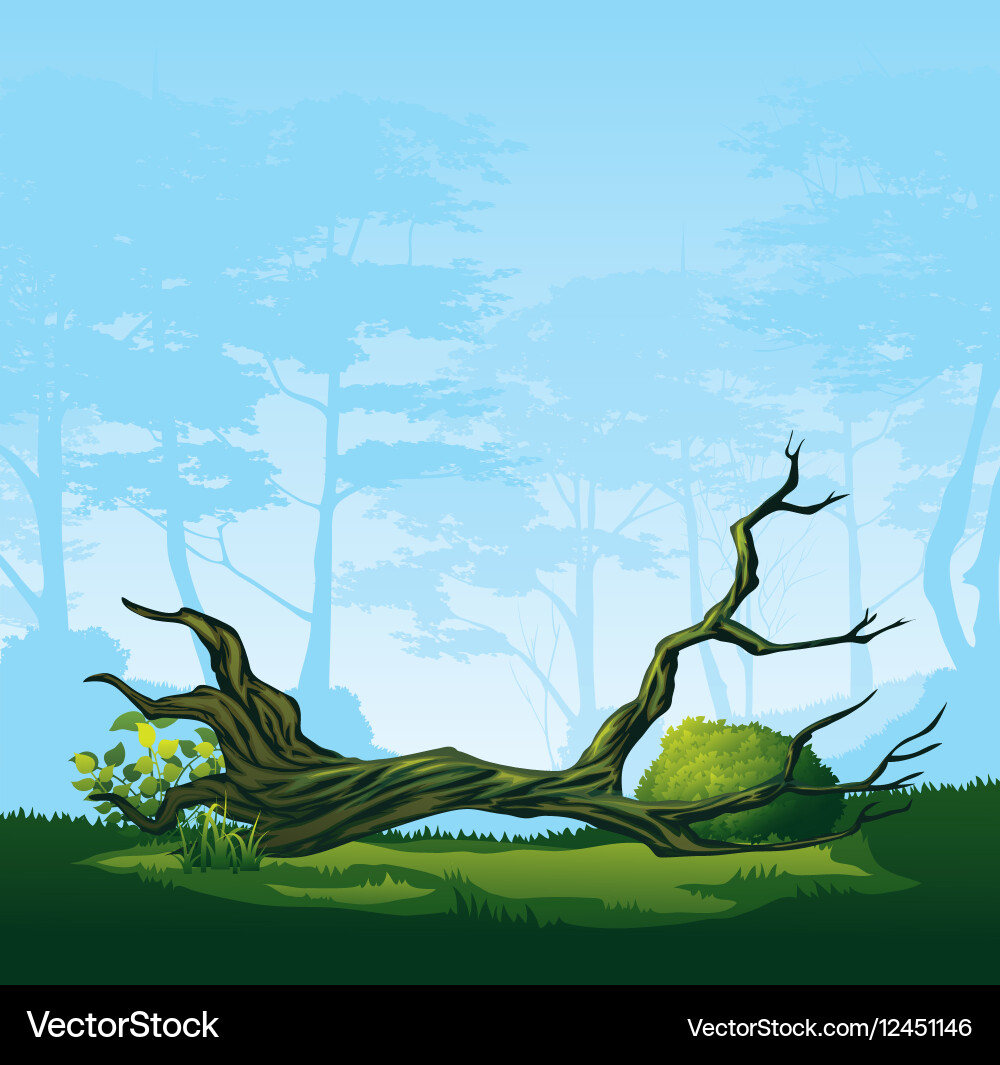 Tree with a curved crown Vector Image