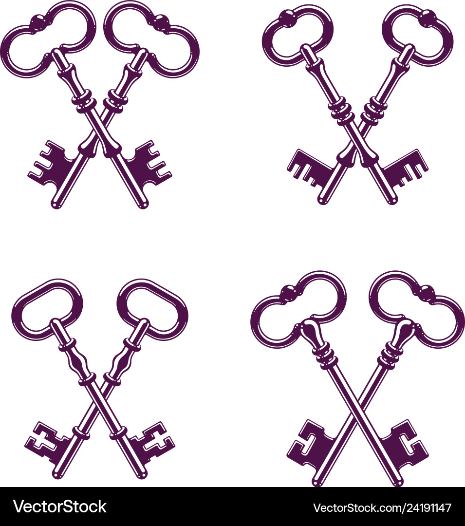 Crossed keys protected secret electronic data Crossed keys protected secret electronic data vector image