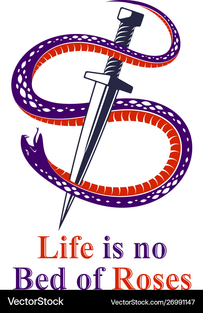 Dagger kills a snake defeated serpent wraps Dagger kills a snake defeated serpent wraps vector image