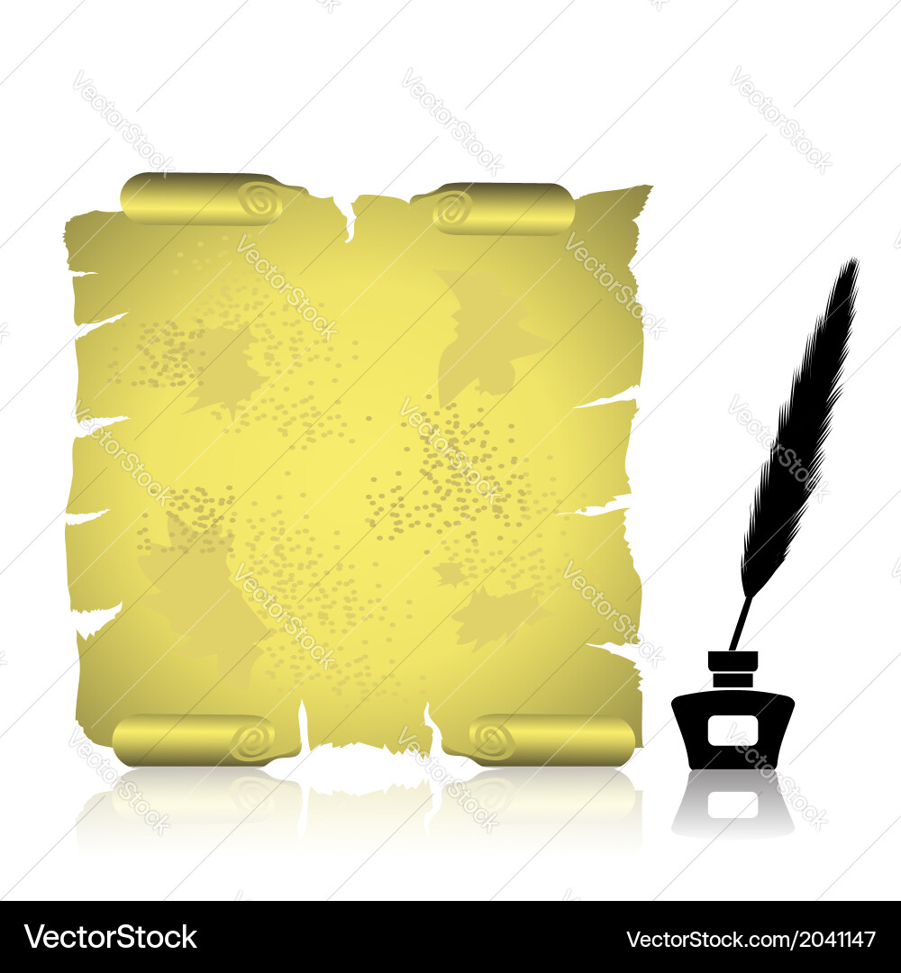 Feather and scroll Vector Image