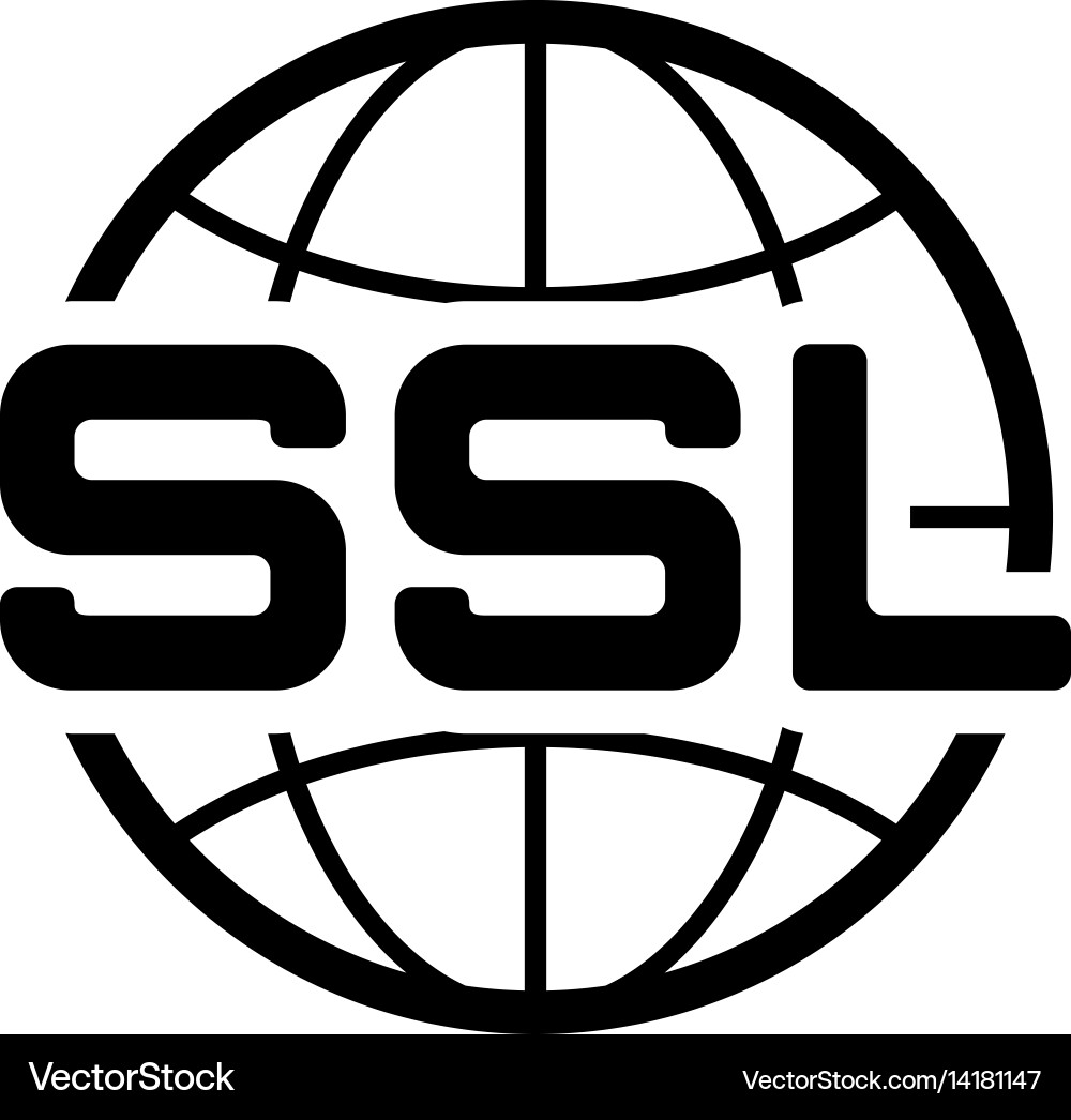 Global ssl security icon flat design vector image