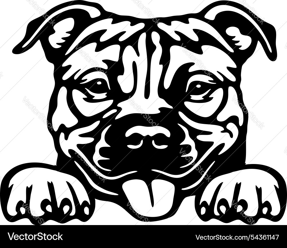 Peeking American Pit Bull Vector Image