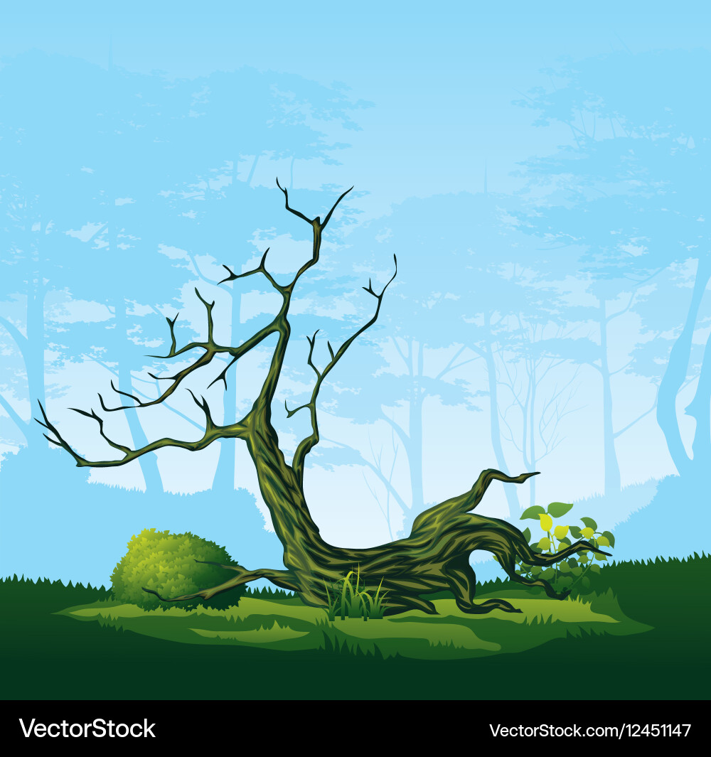 Tree with a curved crown Vector Image