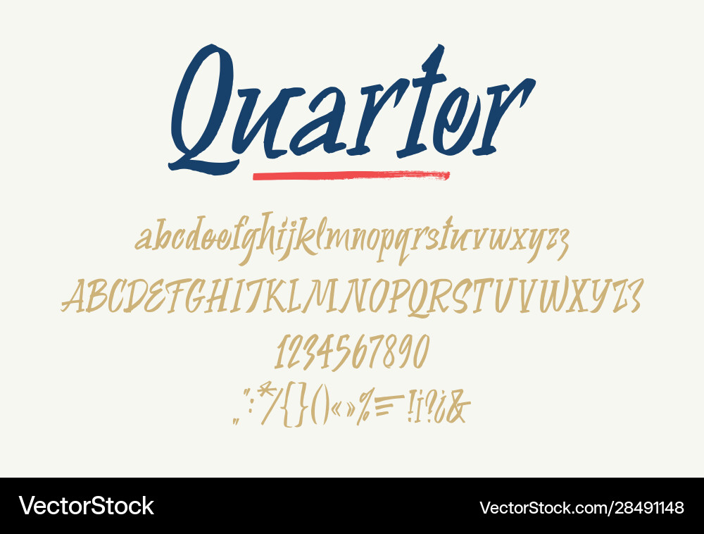 Elegant Calligraphic Script Font vector image