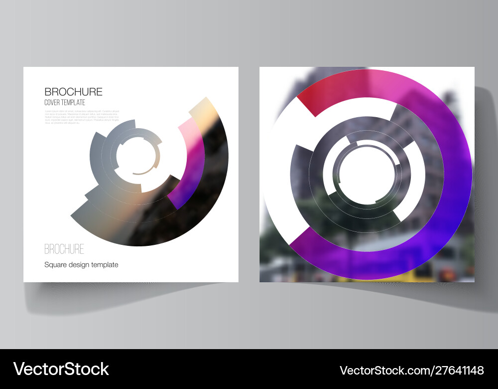 Minimal layout two square format Minimal layout two square format vector image