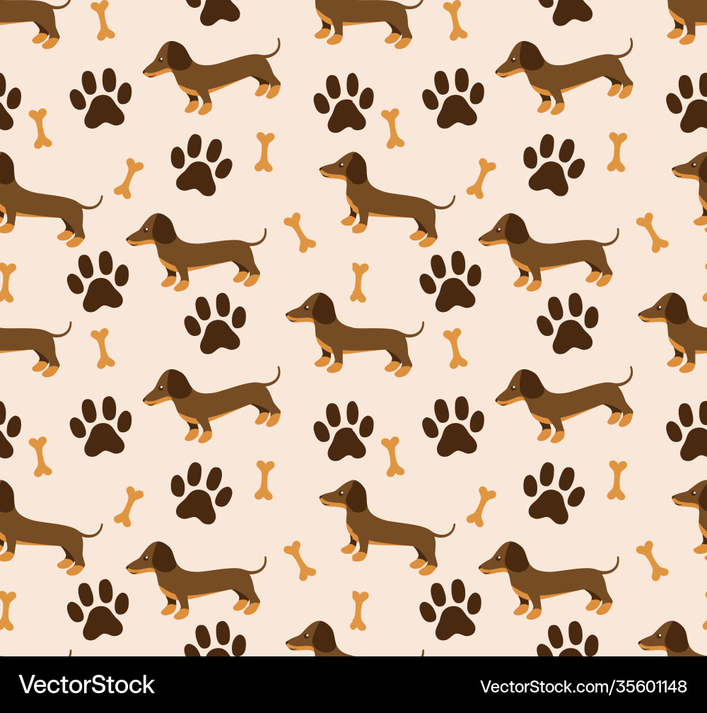 Seamless pattern in dachshund for print Seamless pattern in dachshund for print vector image