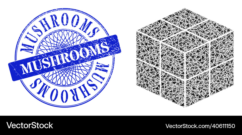 Scratched mushrooms badge and triangle 3d cube Scratched mushrooms badge and triangle 3d cube vector image