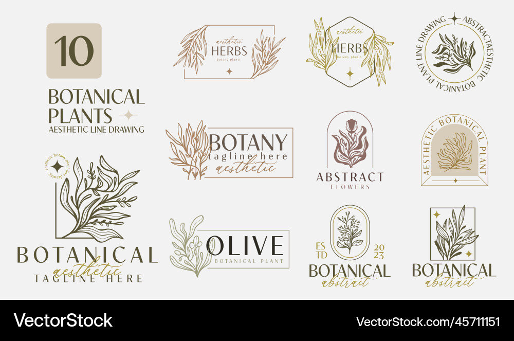 Abstract plant botanical flower line art Abstract plant botanical flower line art vector image