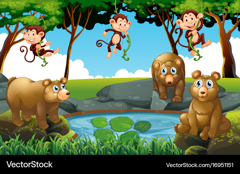Forest scene with bears and monkeys Vector Image