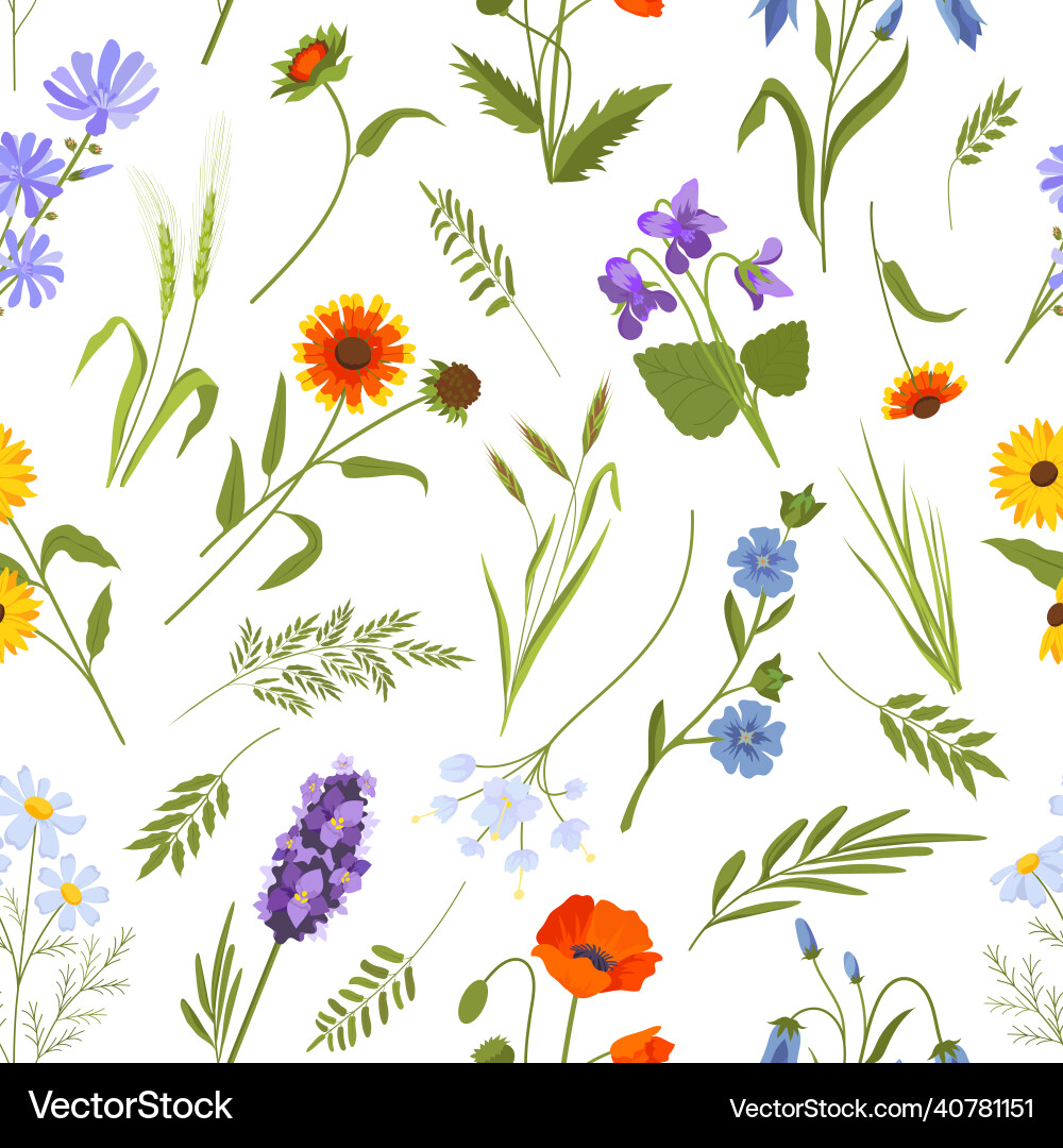 Meadow spring wild flowers and herbs seamless Meadow spring wild flowers and herbs seamless Vector Image