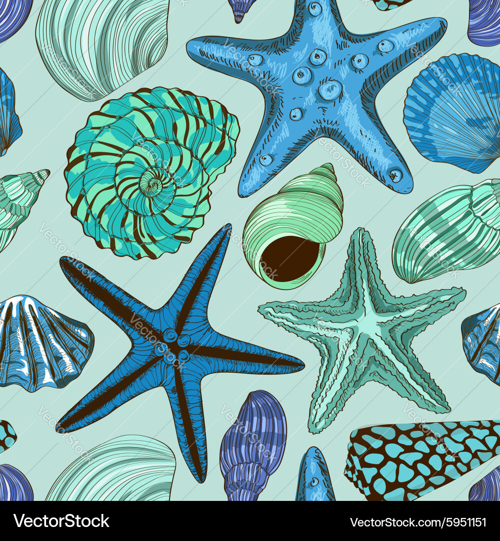 Seashell and Starfish Pattern vector image