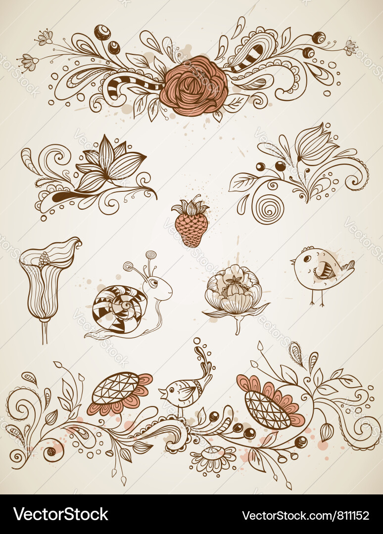 Floral Swirls & Blossoms vector image