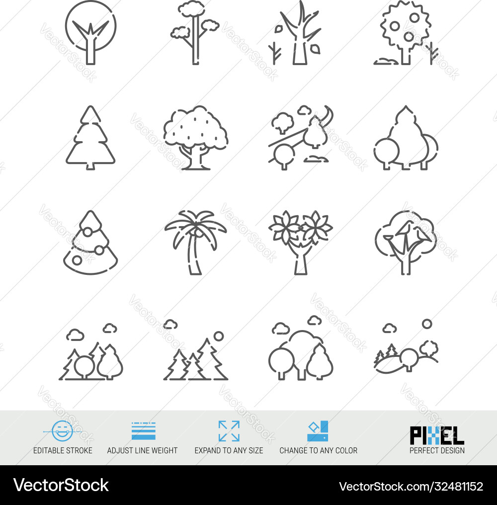 Line icon set trees related linear icons forest Line icon set trees related linear icons forest vector image