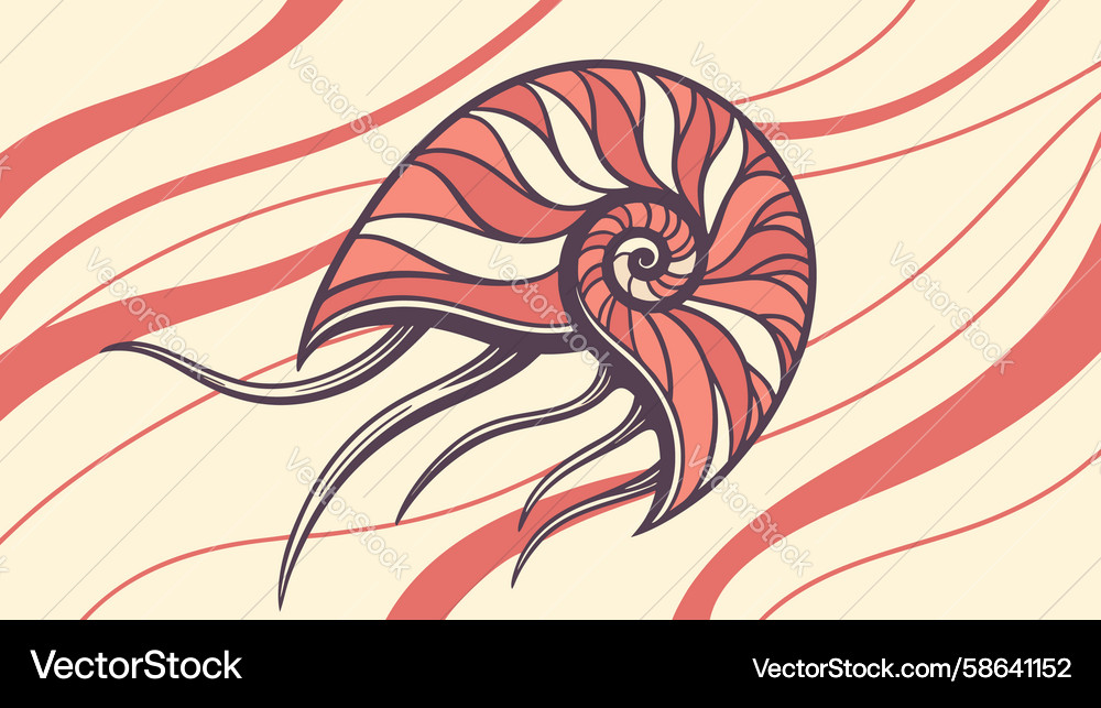 Nautilus shell with abstract swirls design Vector Image