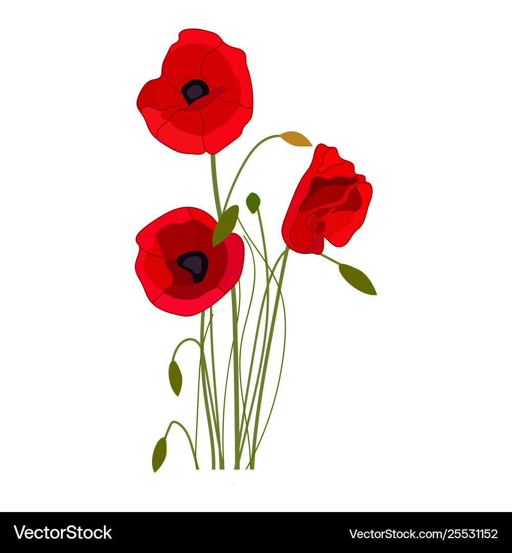 Poppies icon on a white background flower – Royalty-Free Vector |  VectorStock, image size:1000x1080