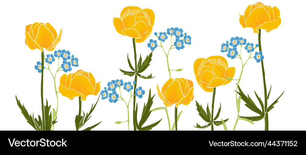 Zeichnen von wilden Blumen Zeichnen von wilden Blumen vektorbild