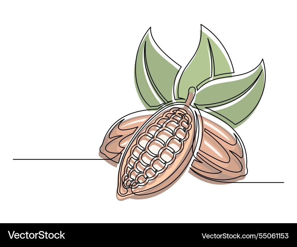 Continuous one line colorful cacao beans branch vector image