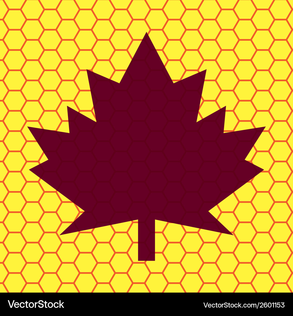 Maple leaf flat modern web button and space Vector Image
