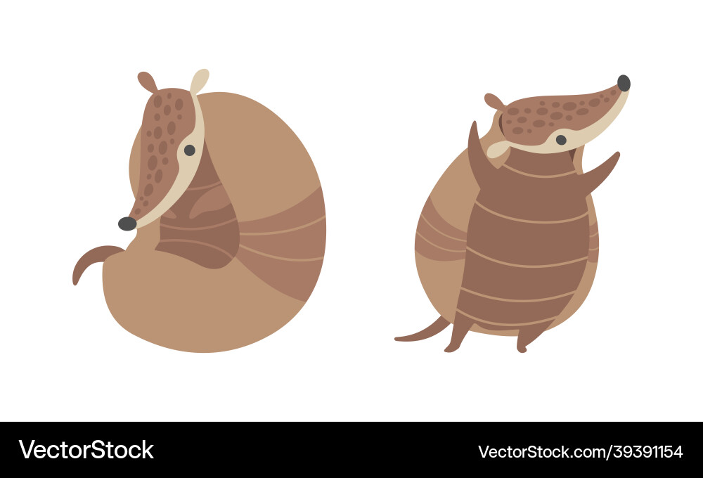 Cute armadillo character with armor shell curled Vector Image