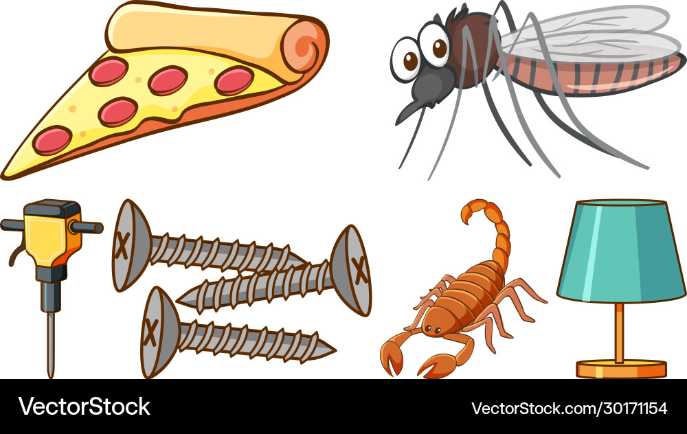 Large set different animals and other objects Large set different animals and other objects vector image