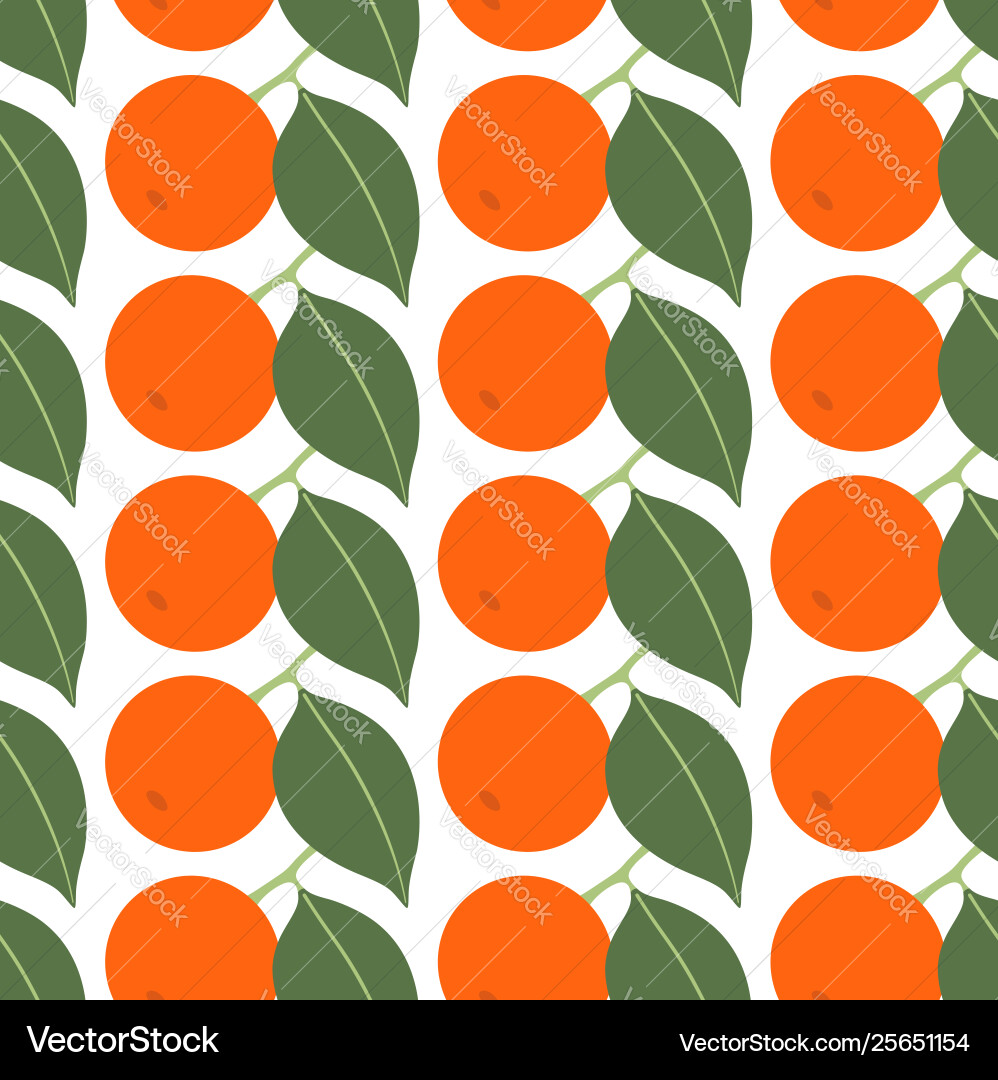 Seamless pattern with tangerines on white Seamless pattern with tangerines on white vector image