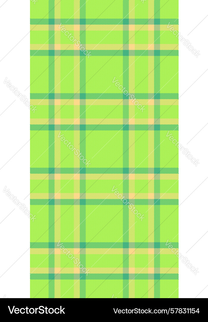 Skirt check pattern contour texture seamless Vector Image