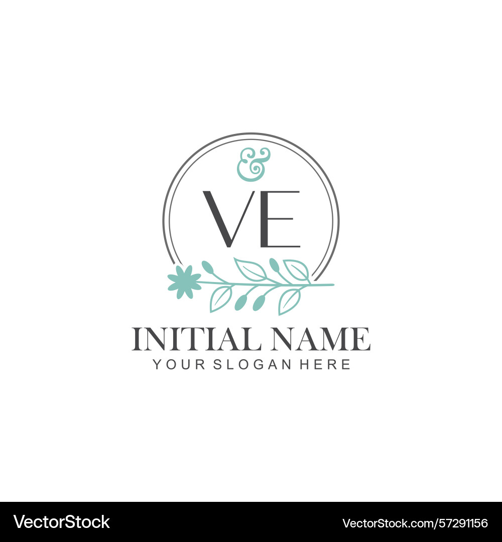 Initial logo templates with botanical elements vector image