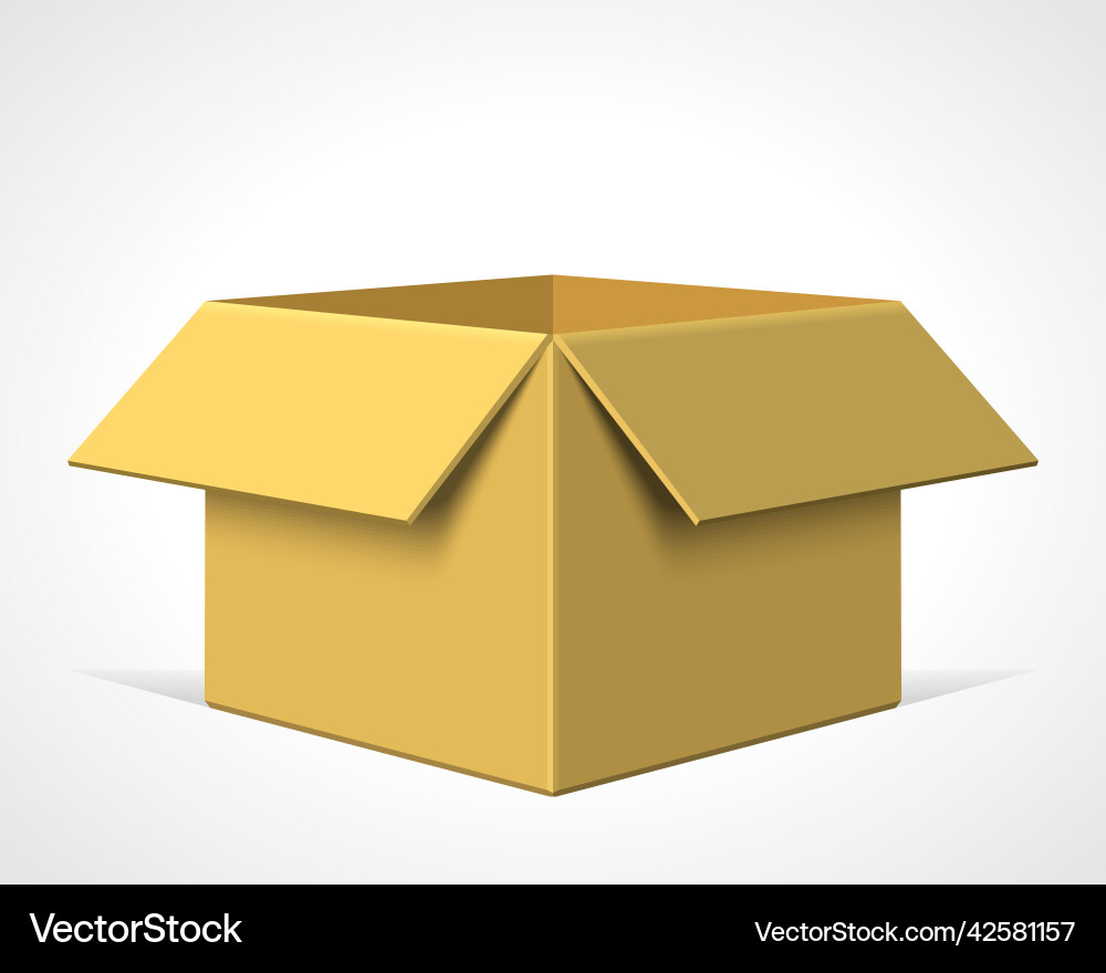 Delivery open box isolated on white background Vector Image