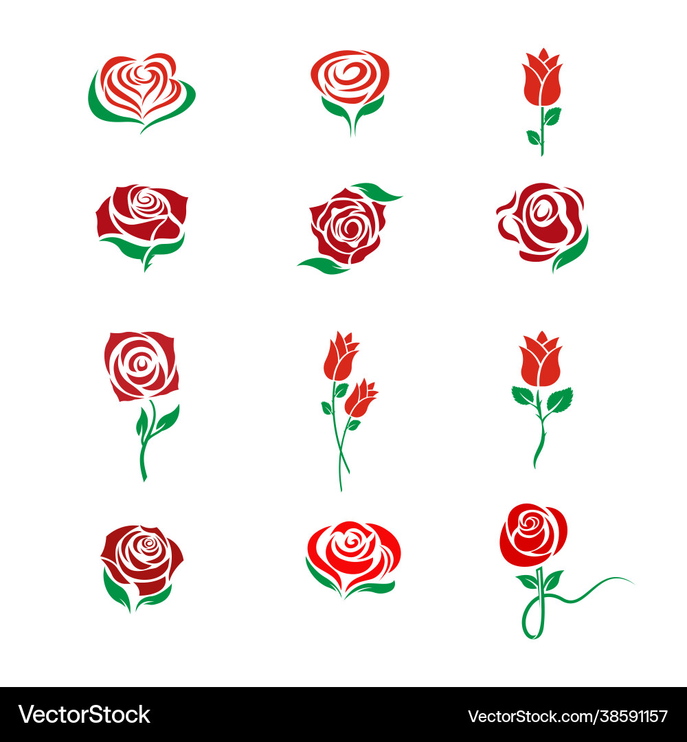 Elegant Rose Flower Logo Template Vector Image