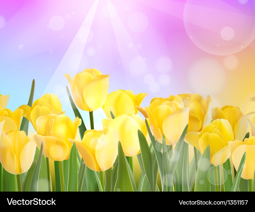 Red Tulip with Bokeh vector image