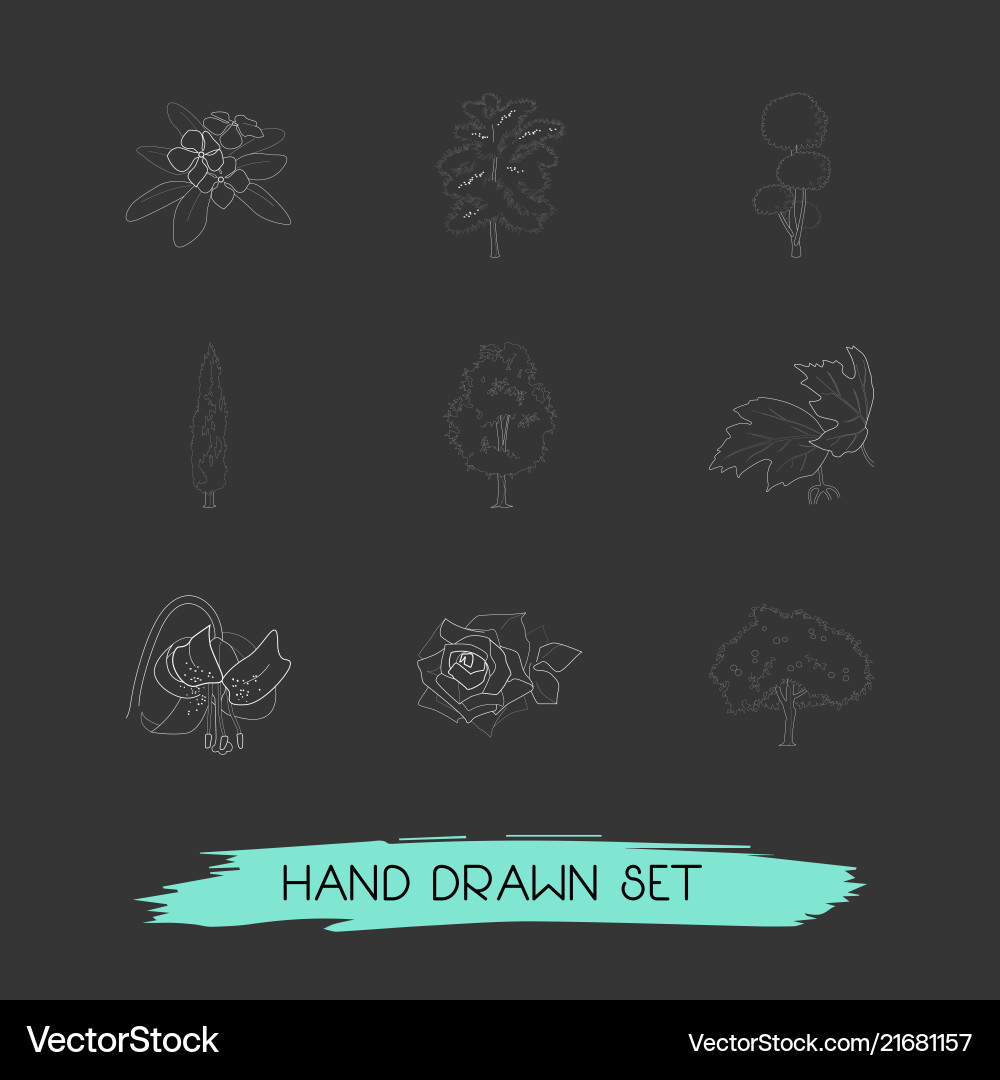 Set of flora icons line style symbols with cypress Set of flora icons line style symbols with cypress vector image