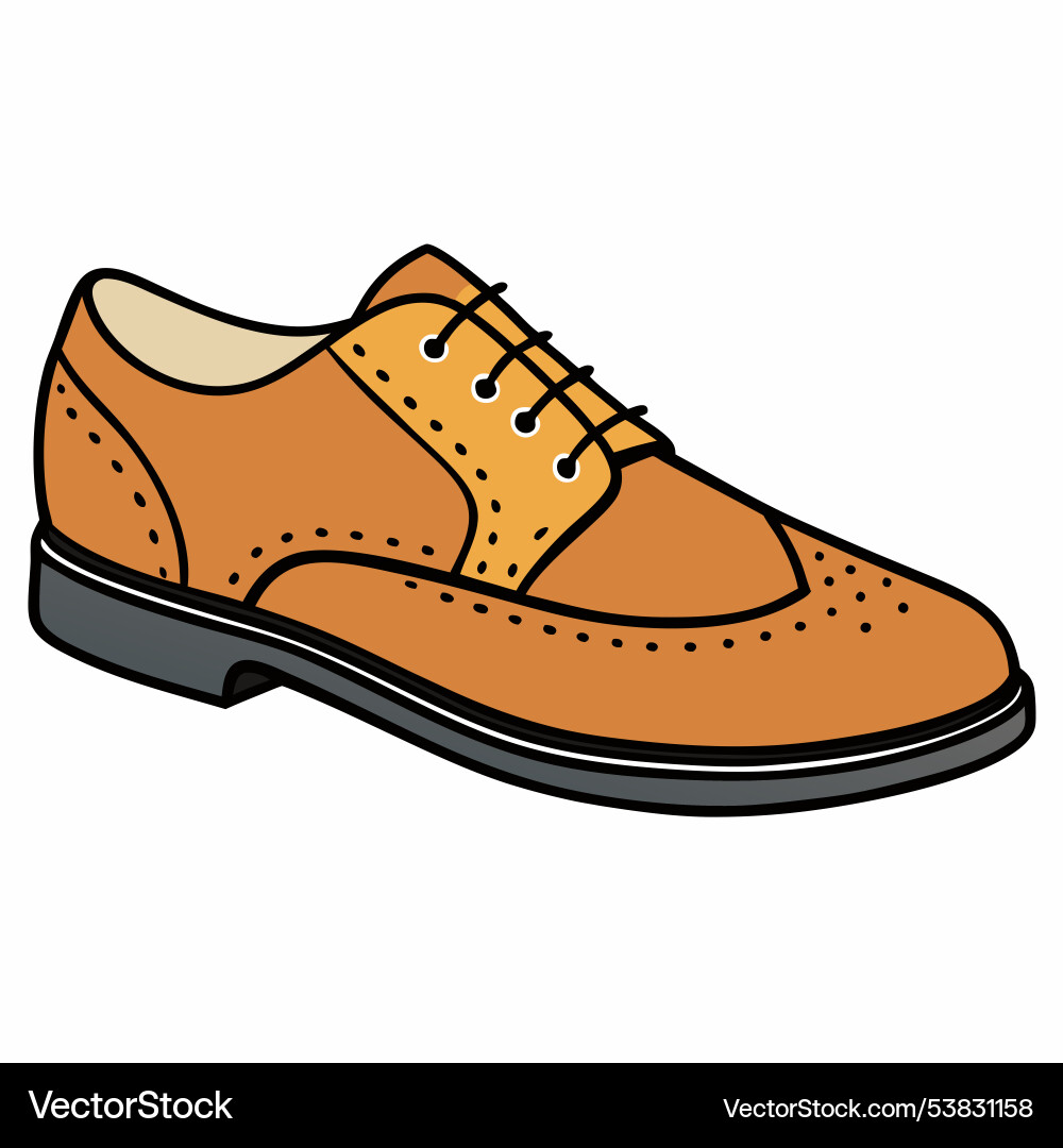 Cartoon fashion shoes modern brogues flat white Cartoon fashion shoes modern brogues flat white vector image