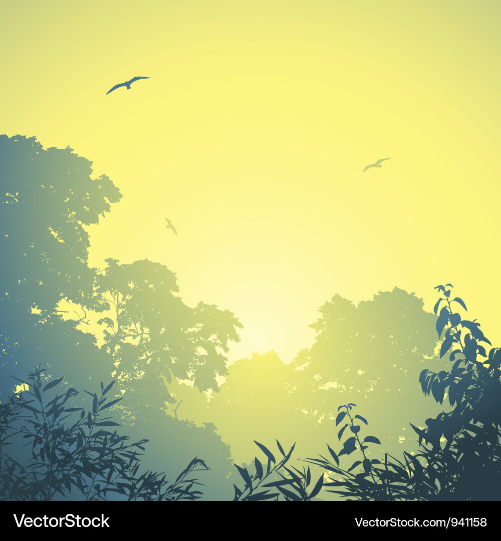 Golden Forest Sunset vector image
