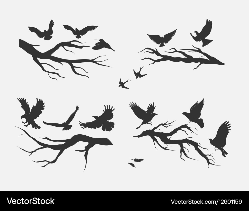 Birds on Branches Silhouette Vector Image