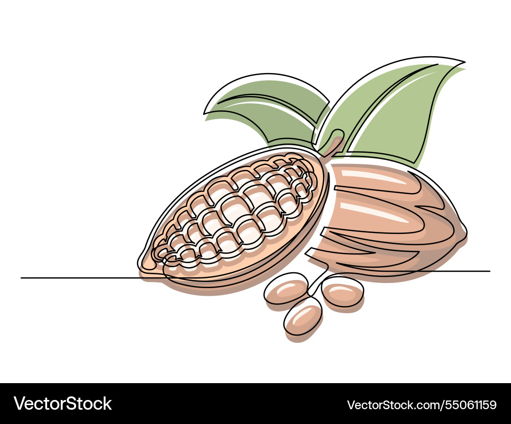 Continuous one line colorful cacao beans branch vector image