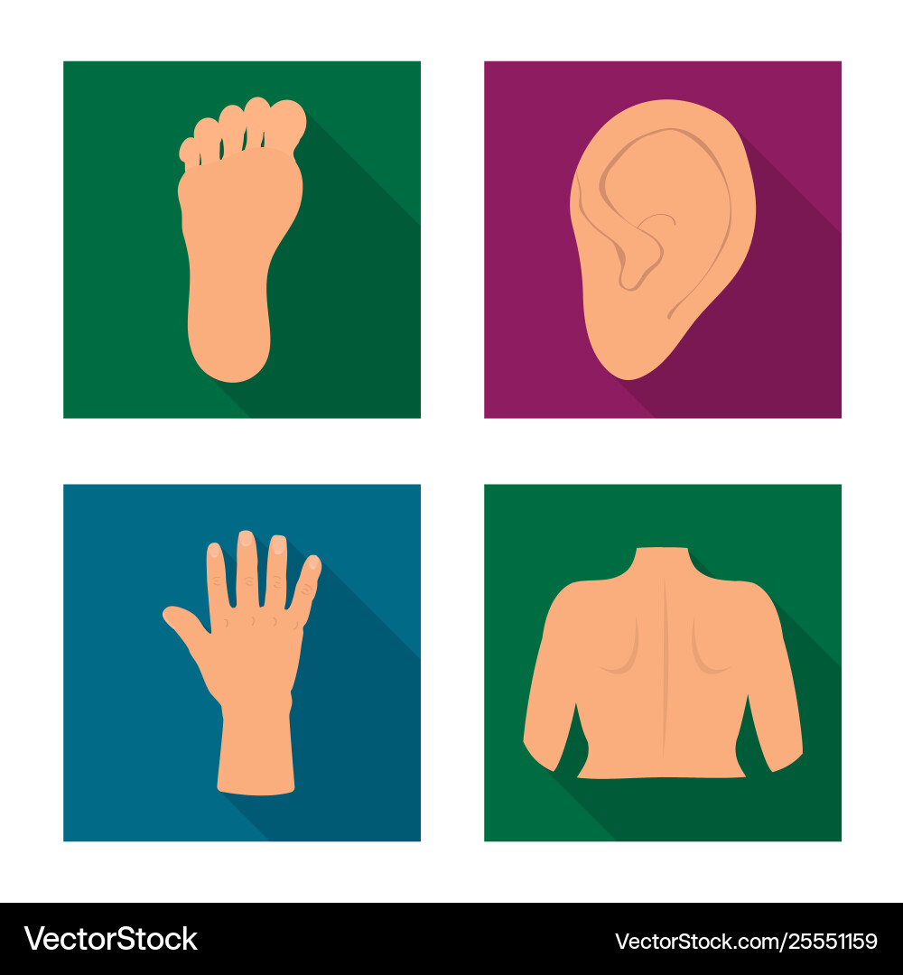 Isolated object body and part logo collection Vector Image