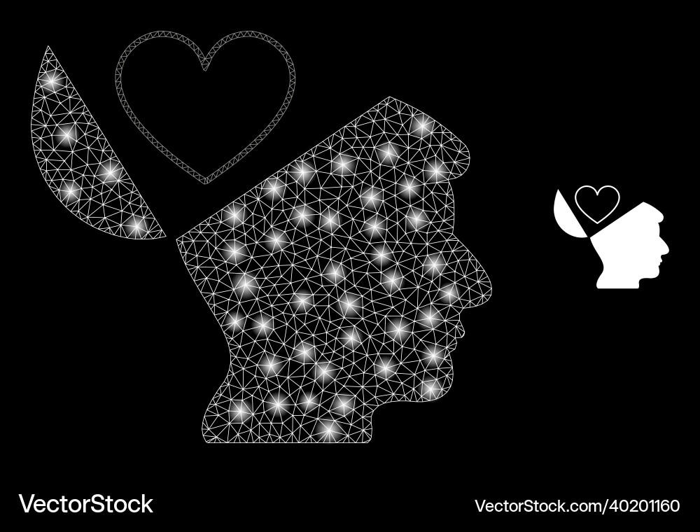 Mesh net favourites open mind with light Mesh net favourites open mind with light vector image
