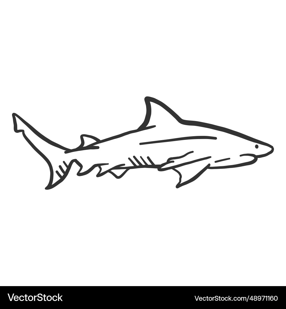 Shark fin Schwanz doodle Shark fin Schwanz doodle vektorbild