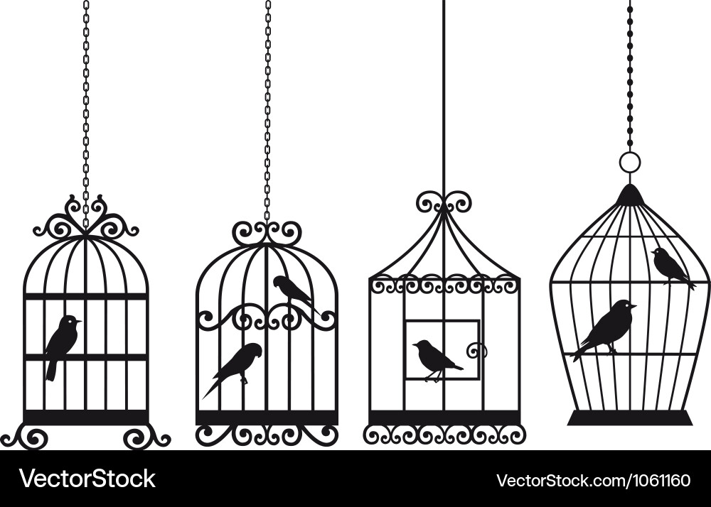 Vintage Birdcages Vector Image