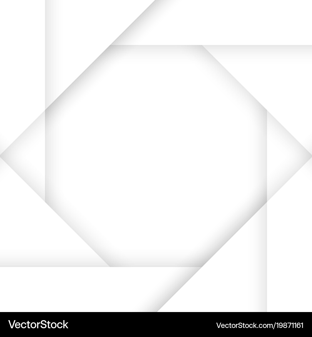 White Octagon Pattern Background vector image