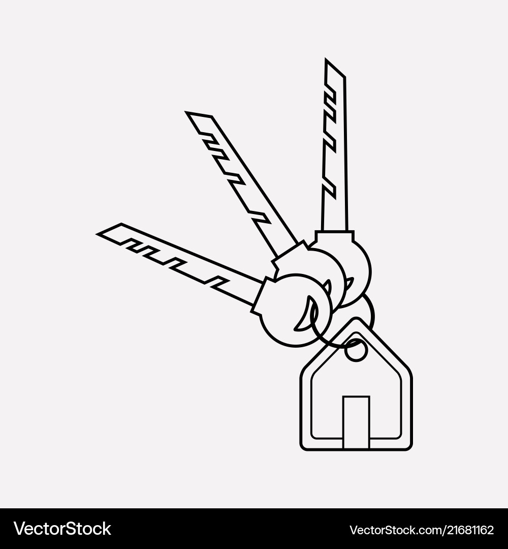 House keys icon line element House keys icon line element vector image