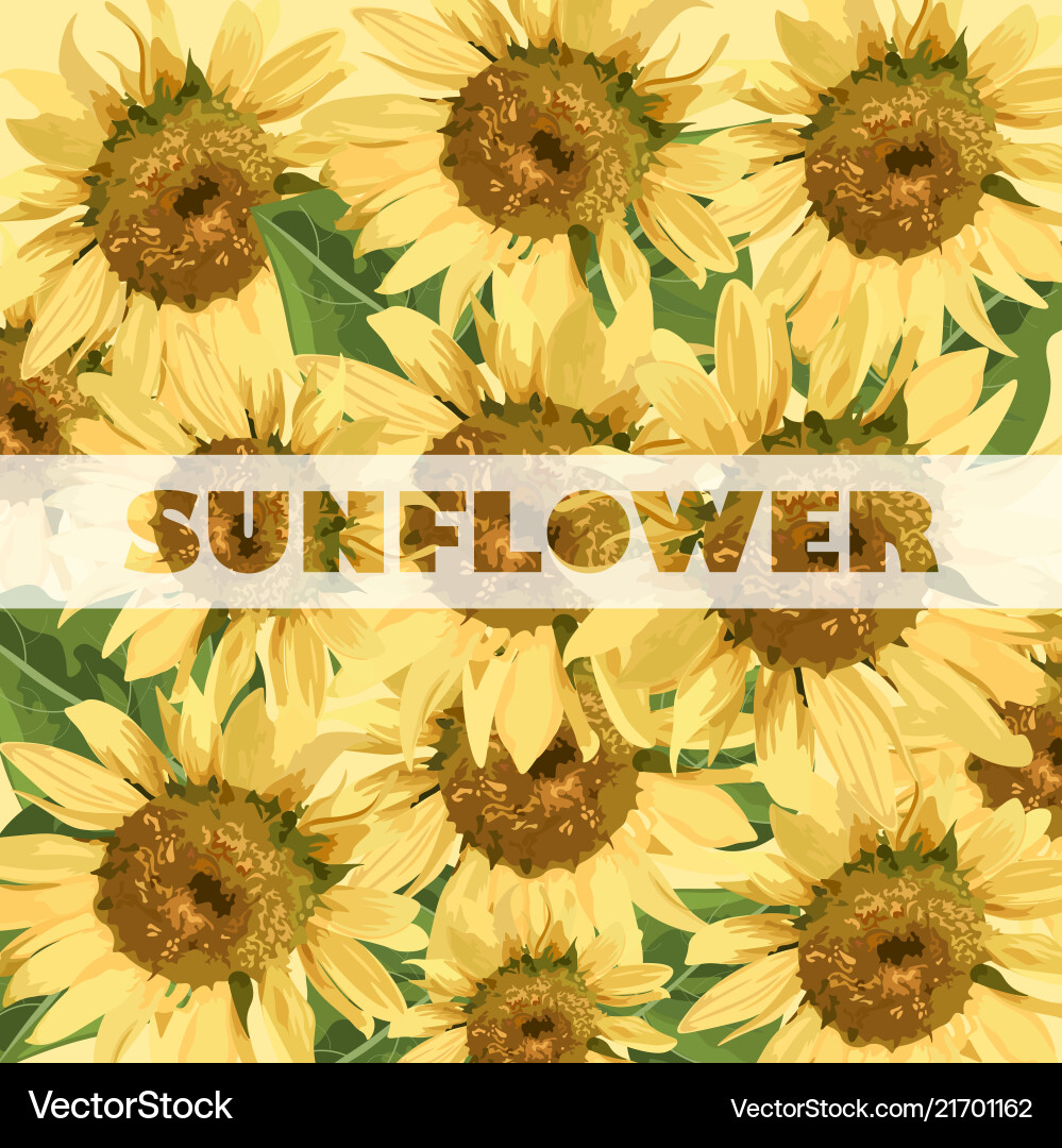 Sunflower Field Pattern Vector Image