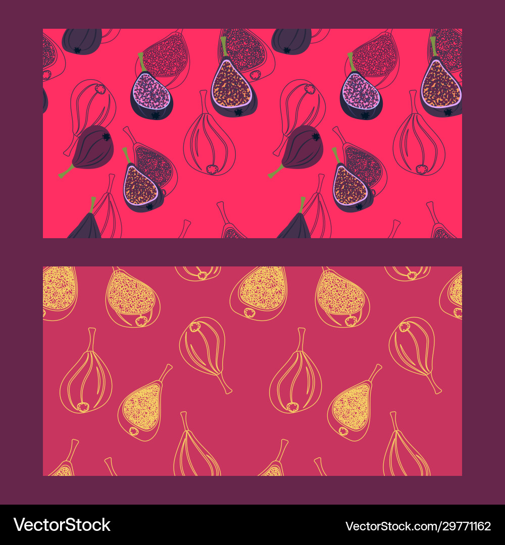 Two linear patterns with figs Two linear patterns with figs vector image