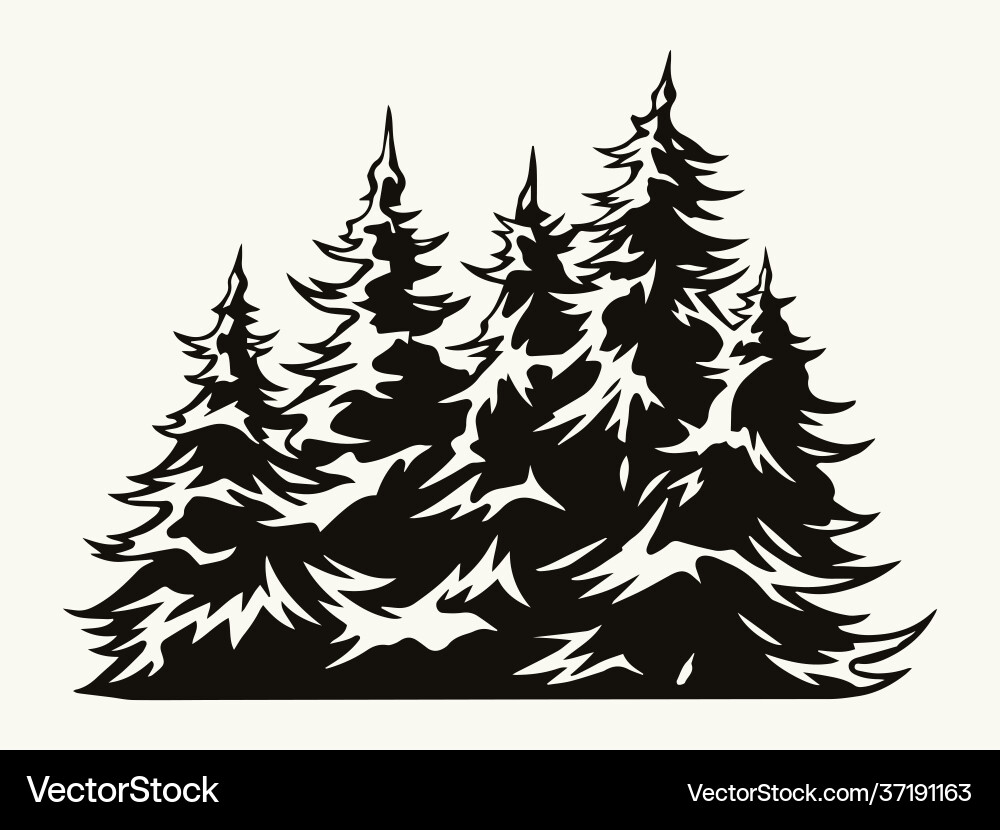Fir trees vintage template Fir trees vintage template vector image