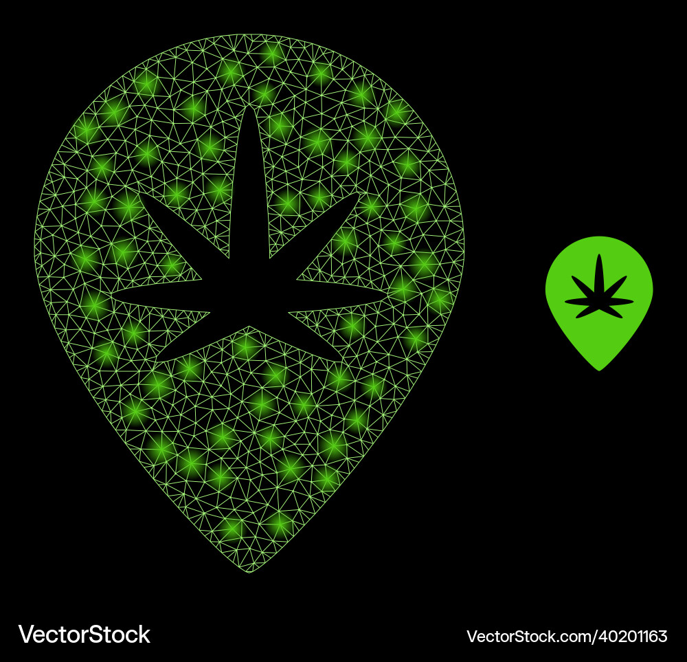 Mesh net cannabis map marker with light Mesh net cannabis map marker with light vector image