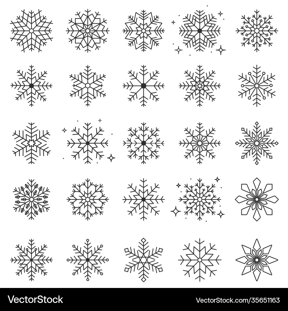 Set snowflakes in different shapes forms Set snowflakes in different shapes forms vector image