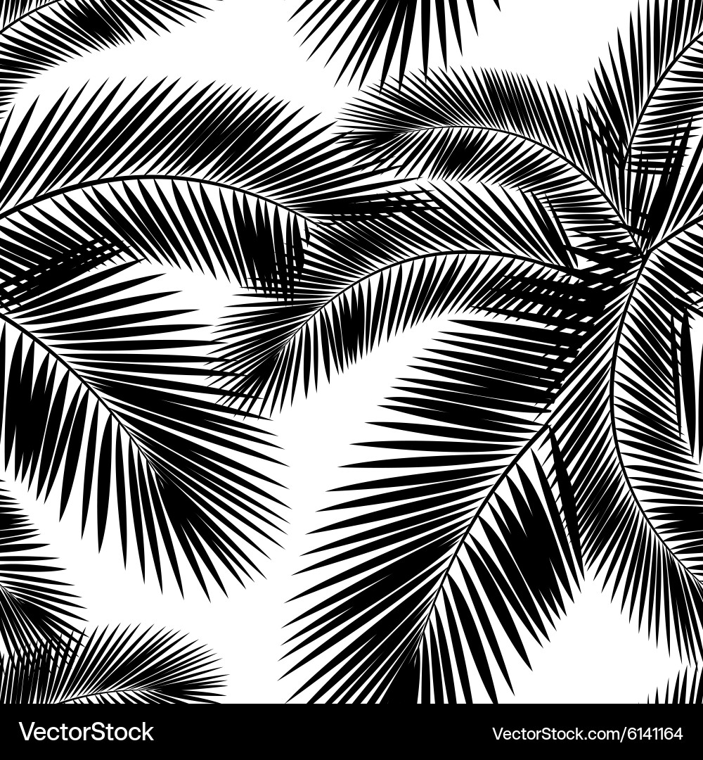 Palm Leaf Pattern - Black and White Vector Image