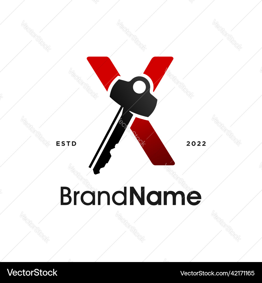 Modern initial x key Vector Image